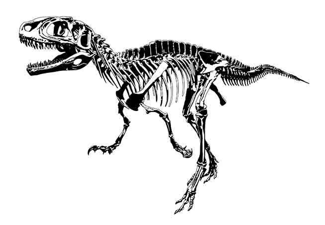 Dinosaur