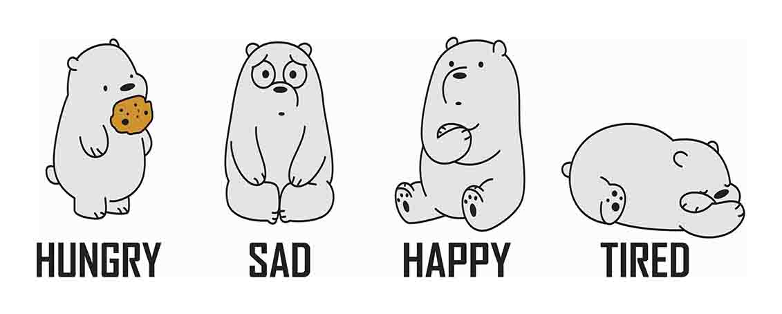 Bears
