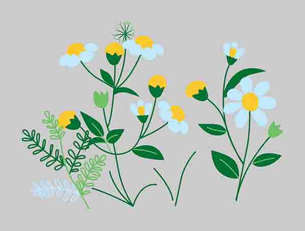 Flowers