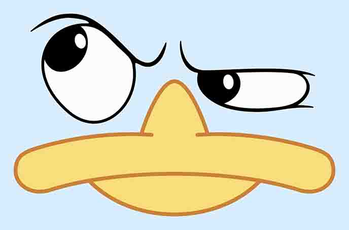 Duck