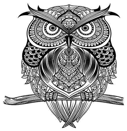 Owl