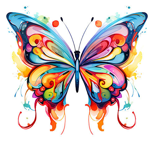 butterfly