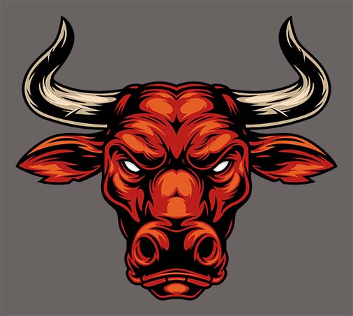 Angry cow